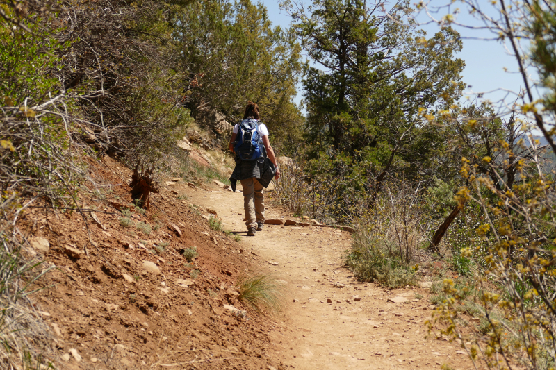 Animas City Mountain Trail