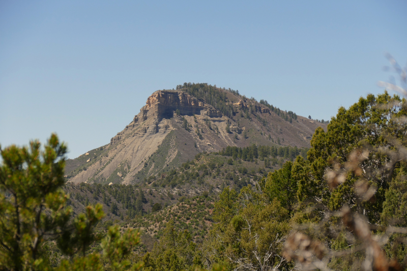 Animas City Mountain [Durango - Perins Peak State Wildlife Area]