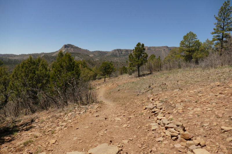 Animas City Mountain of Durango