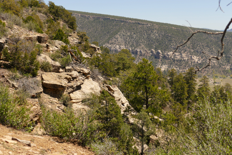 Animas City Mountain [Durango - Perins Peak State Wildlife Area]