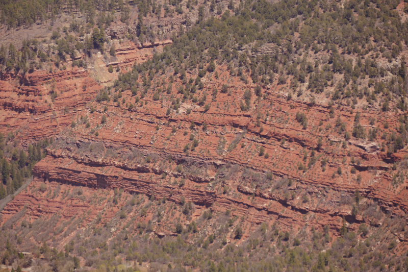 Animas City Mountain [Durango - Perins Peak State Wildlife Area]