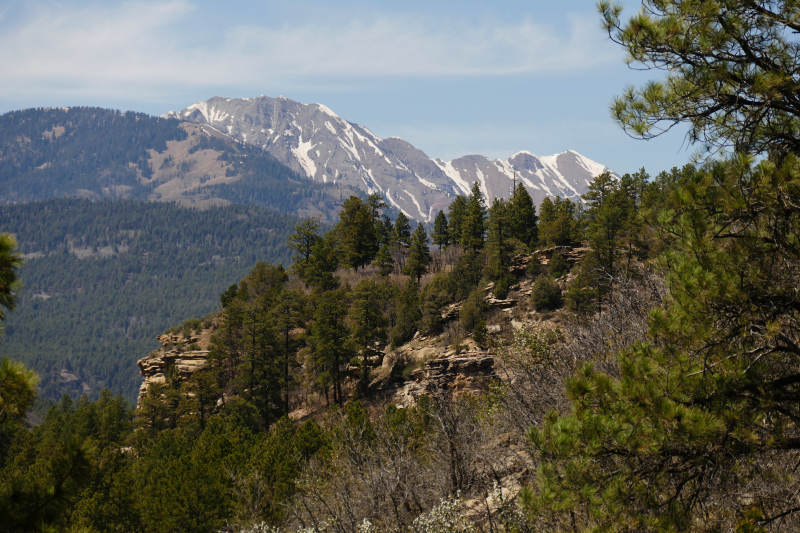 Animas City Mountain [Durango - Perins Peak State Wildlife Area]