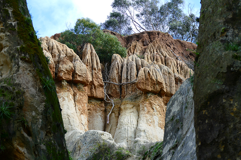 Annie's Canyon [Solana Beach - San Elijo Lagoon]