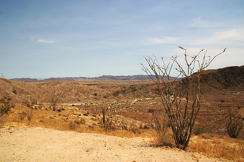 Anza Borrego Desert State Park