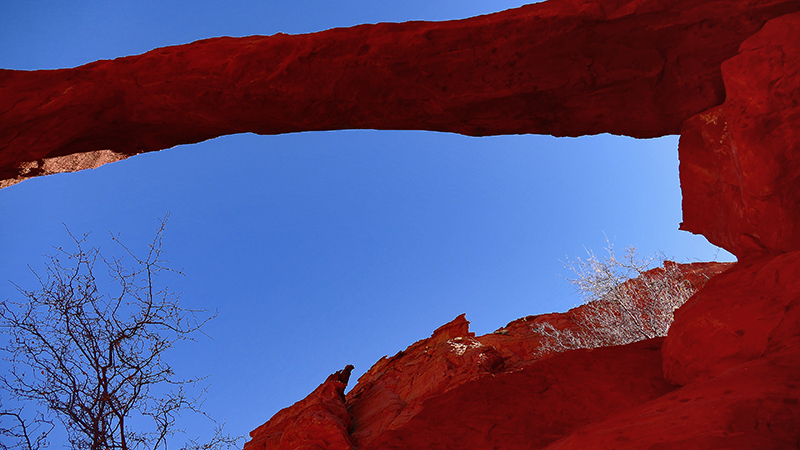 Arc of the Wave [Coyote Buttes North]