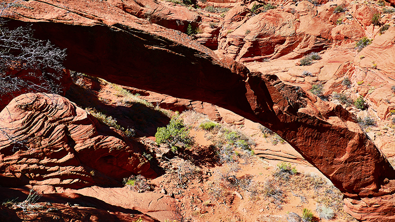 Arc of the Wave [Coyote Buttes North]