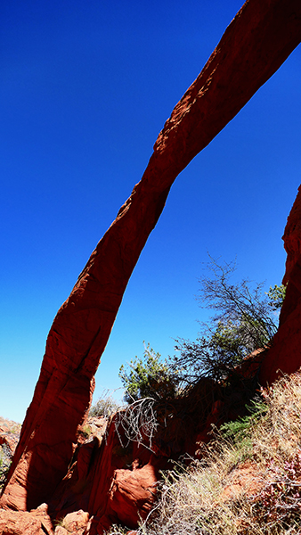 Arc of the Wave [Coyote Buttes North]