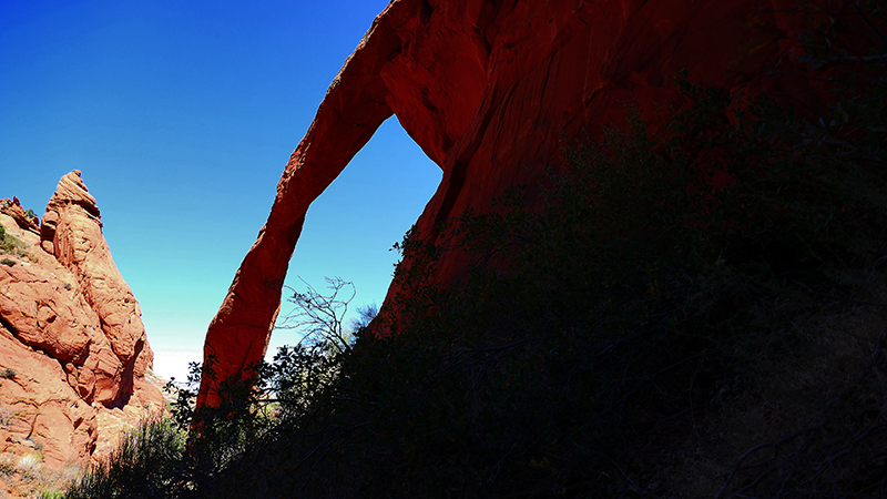 Arc of the Wave [Coyote Buttes North]