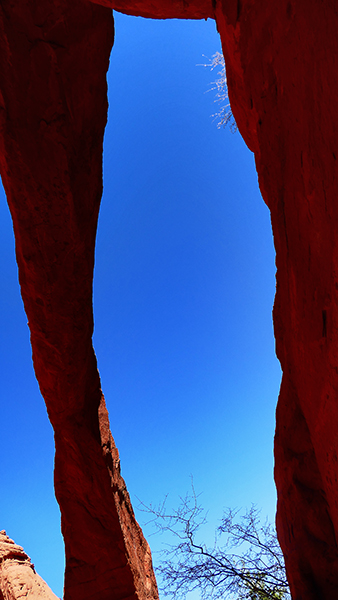 Arc of the Wave [Coyote Buttes North]