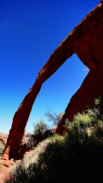 Arc of the Wave [Coyote Buttes North]