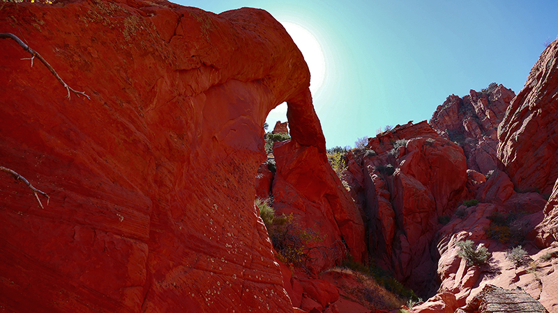 Arc of the Wave [Coyote Buttes North]