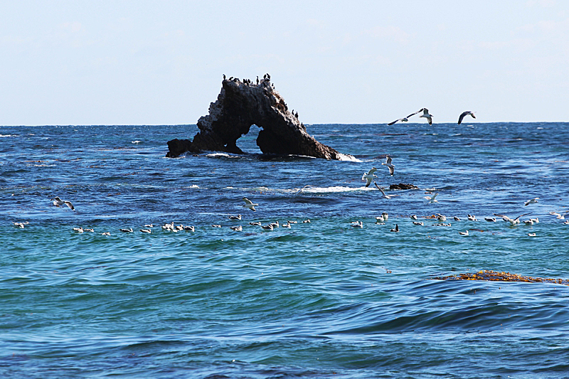 Arch Rock Corona del Mar