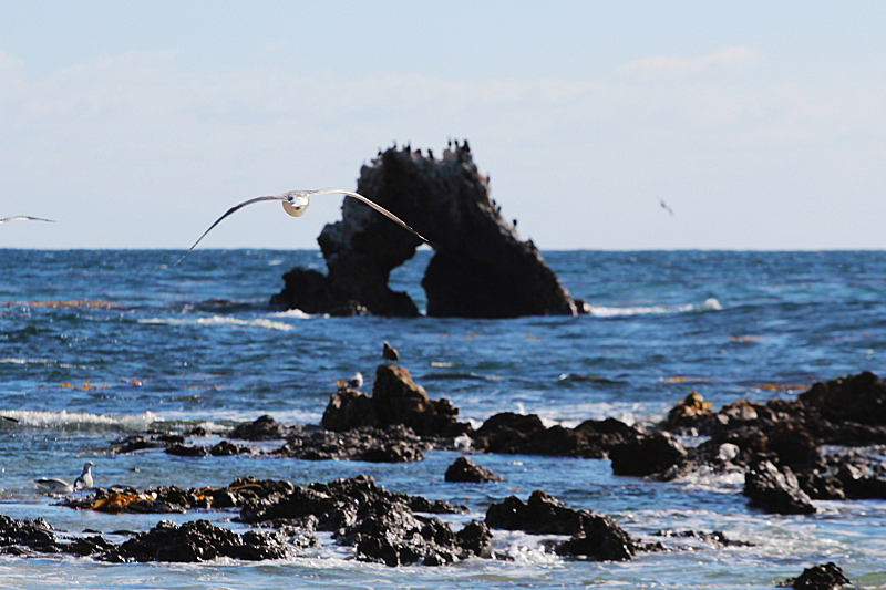 Arch Rock Corona del Mar