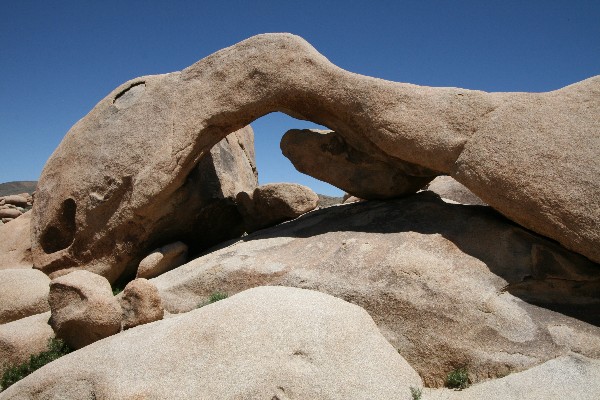 Arch Rock [Joshua Tree NP]