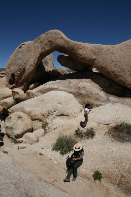 Arch Rock Nature Trail [Joshua Tree National Park]