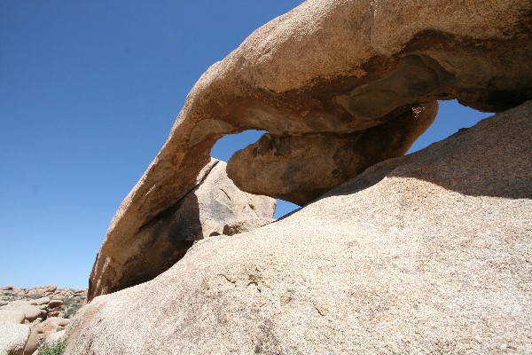 Arch Rock Nature Trail [Joshua Tree National Park]