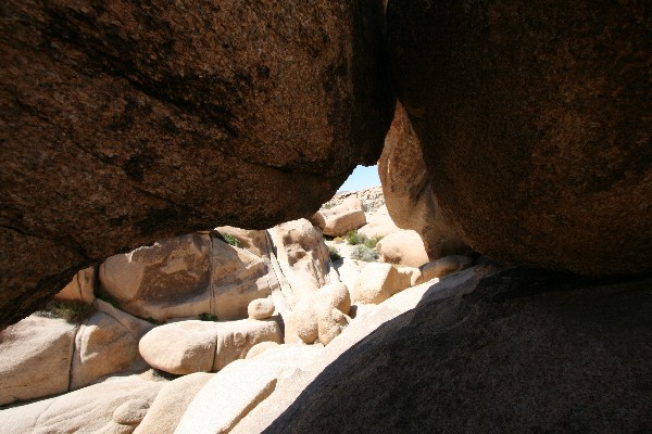 Arch Rock [Joshua Tree NP]