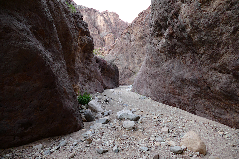 Arizona (Ringbolt) Hot Springs Trail