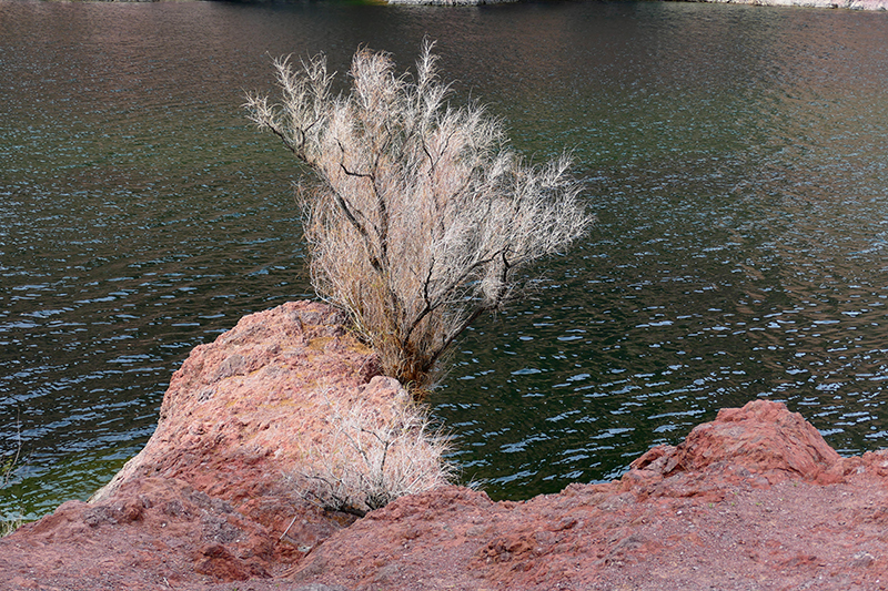 Arizona (Ringbolt) Hot Springs Trail