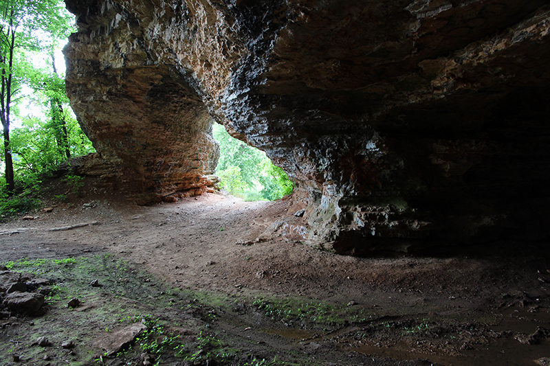 Ash Cave Arch Missouri