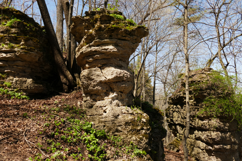 Backbone State Park [Backbone State Forest]