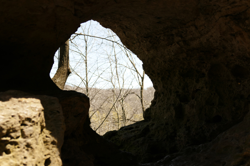 Backbone State Park [Backbone State Forest]