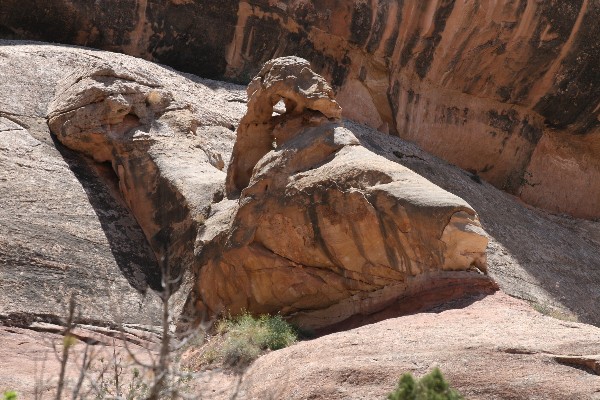 Backfin Arch