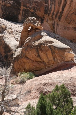 Backfin Arch