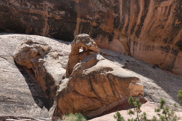 Backfin Arch