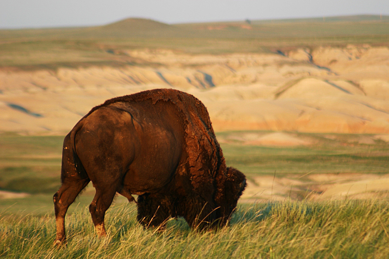 Bandlands National Park