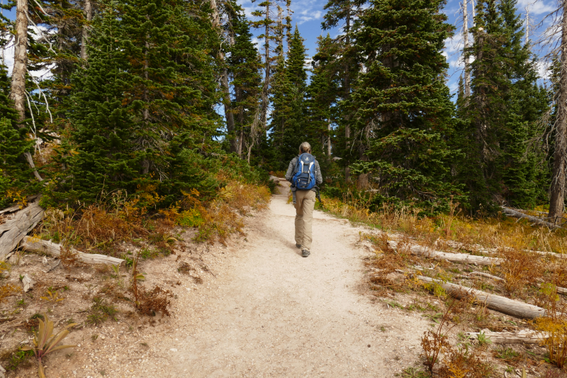 Bartizan Arch Trail [Cedar Breaks National Monument]