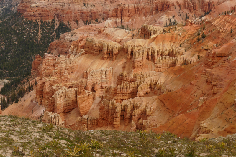 Bartizan Arch Trail [Cedar Breaks National Monument]