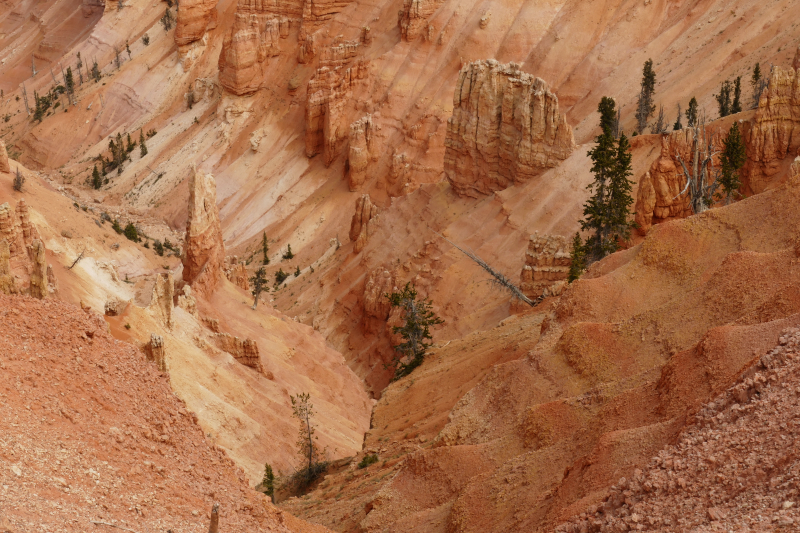 Bartizan Arch Trail [Cedar Breaks National Monument]