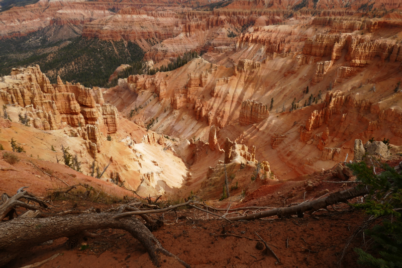 Bartizan Arch Trail [Cedar Breaks National Monument]