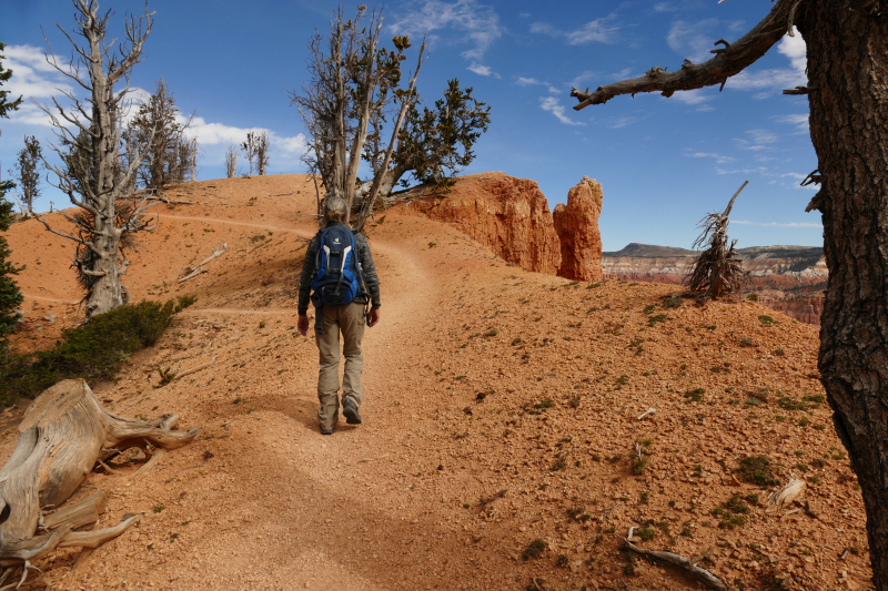 Bartizan Arch Trail [Cedar Breaks National Monument]