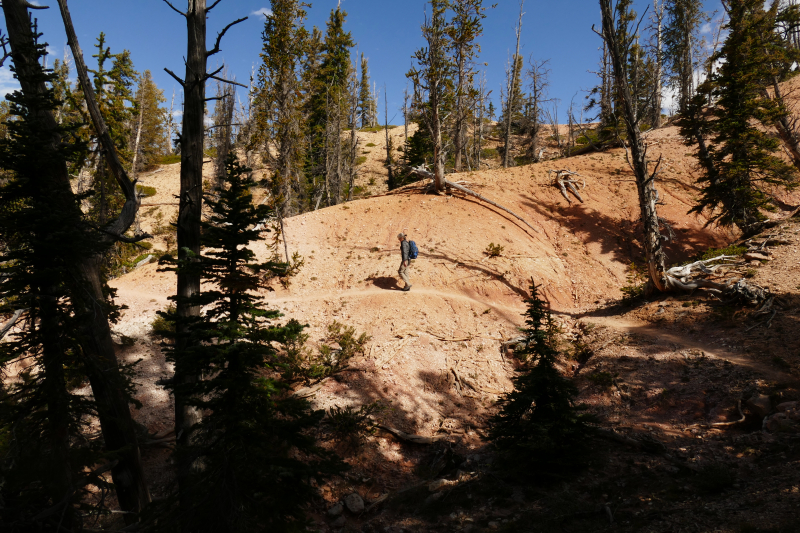 Bartizan Arch Trail [Cedar Breaks National Monument]