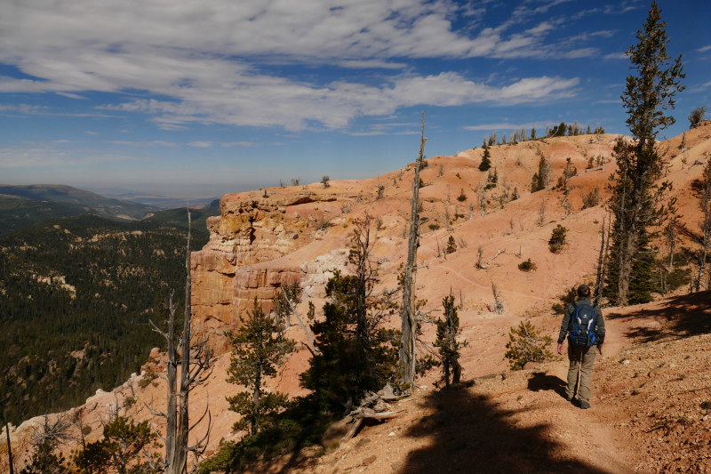 Bartizan Arch Trail [Cedar Breaks National Monument]