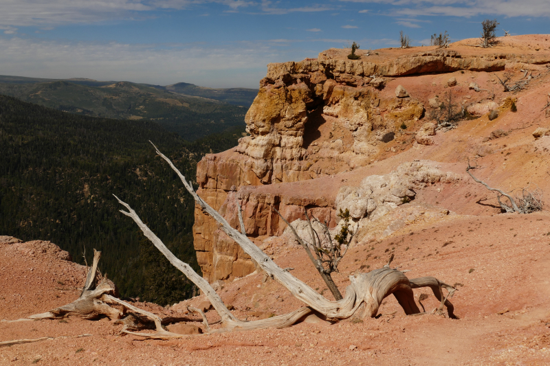 Bartizan Arch Trail [Cedar Breaks National Monument]