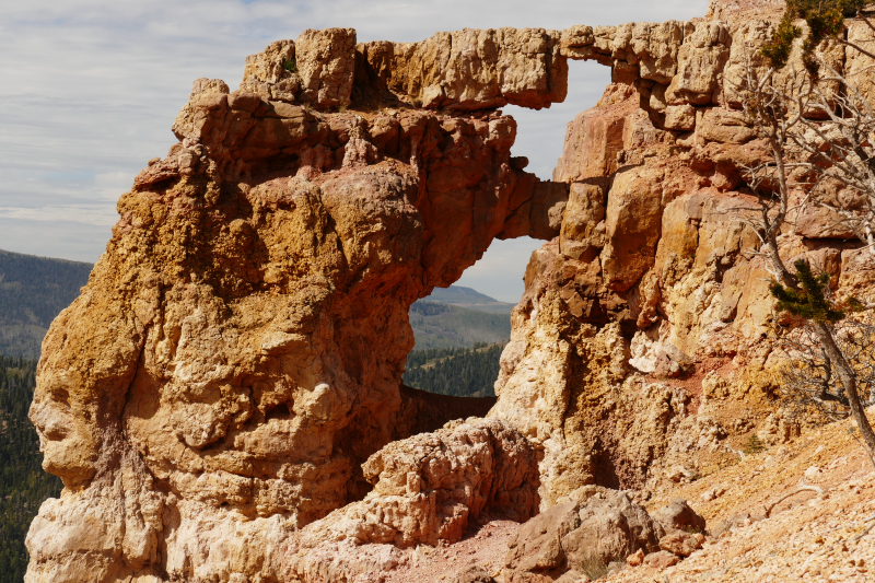 Bartizan Arch Trail [Cedar Breaks National Monument]