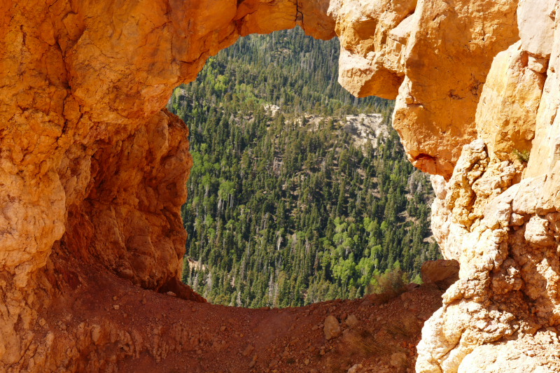 Bartizan Arch Trail [Cedar Breaks National Monument]