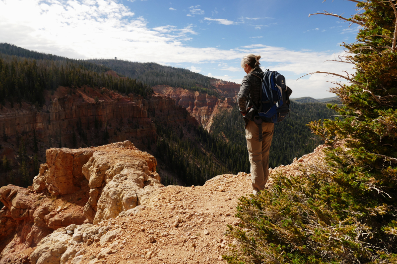 Bartizan Arch Trail [Cedar Breaks National Monument]