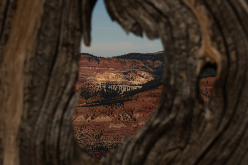 Bartizan Arch Trail [Cedar Breaks National Monument]