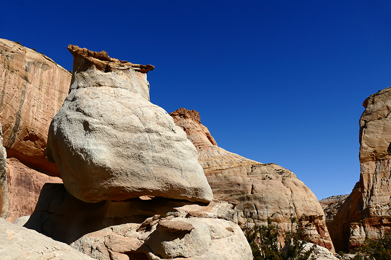 Base of Golden Throne [Capitol Reef National Park]