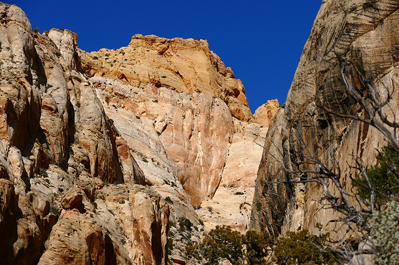 Base of Golden Throne [Capitol Reef National Park]