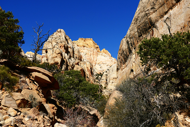 Base of Golden Throne [Capitol Reef National Park]