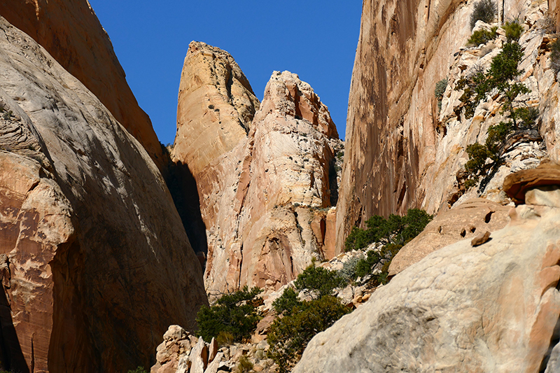 Base of Golden Throne [Capitol Reef National Park]