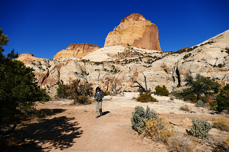 Base of Golden Throne [Capitol Reef National Park]