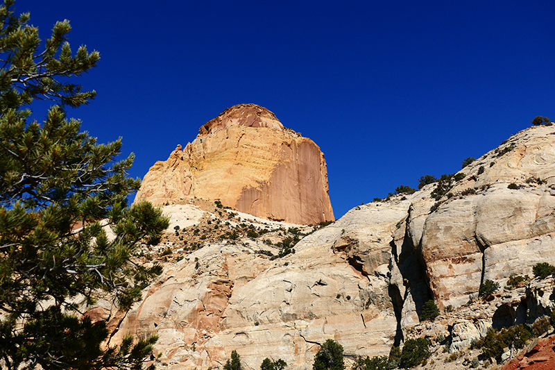 Base of Golden Throne [Capitol Reef National Park]