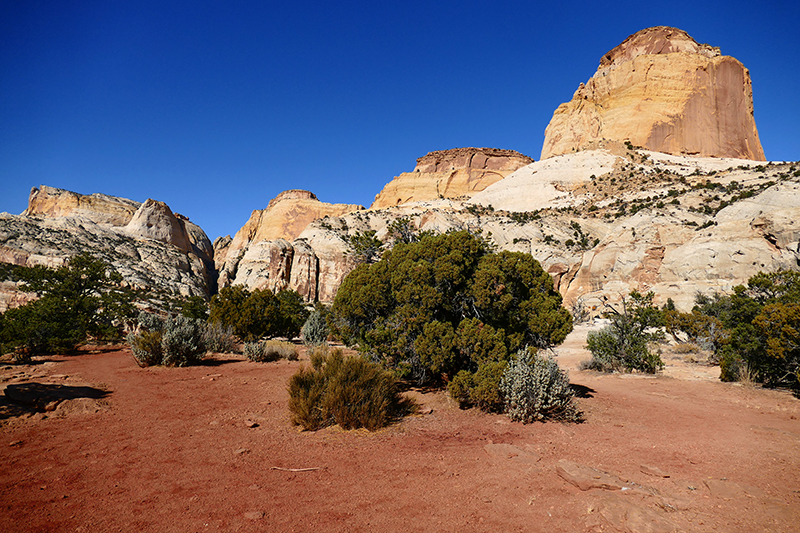 Base of Golden Throne [Capitol Reef National Park]