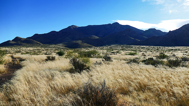 Baylor Pass West [Organ Mountains]